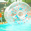 IMG -39.JPG