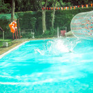 IMG -52.JPG