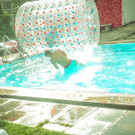 IMG -55.JPG