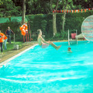 IMG -60.JPG