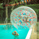 IMG -64.JPG
