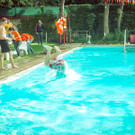 IMG -77.JPG