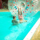 IMG -80.JPG