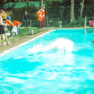 IMG -84.JPG
