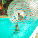 IMG -97.JPG