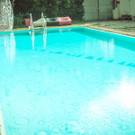 IMG -104.JPG