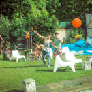 IMG -117.JPG