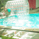 IMG -120.JPG