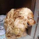 PICT1118.JPG