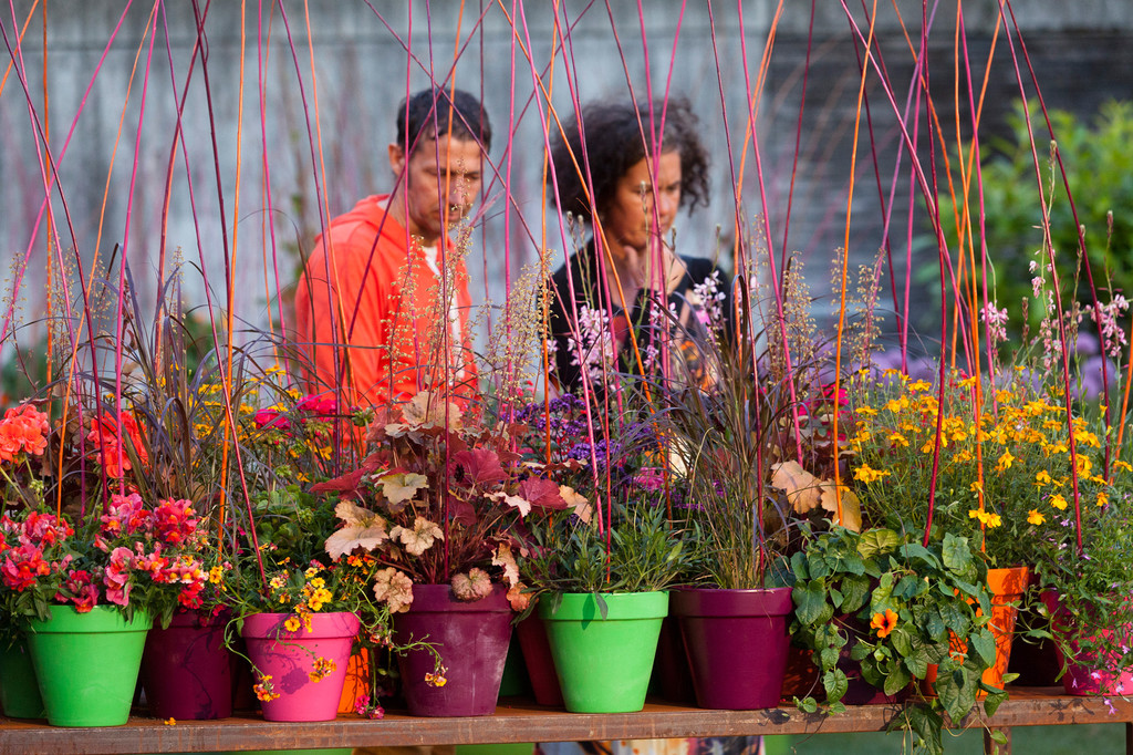 Gartenfestival-488.jpg