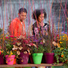 Gartenfestival-488.jpg