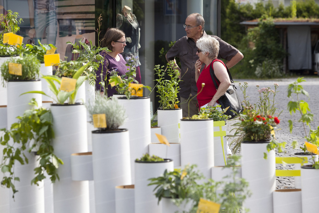 Gartenfestival-611.jpg