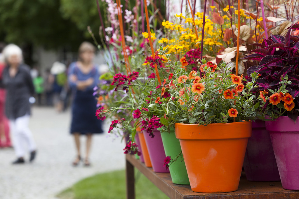 Gartenfestival-920.jpg