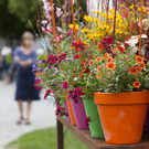Gartenfestival-920.jpg