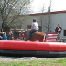 BK_IMG_0038_jpg-1271593217