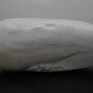 DSCN3232.JPG