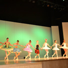 DSC_0155.JPG