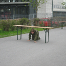 BK_IMG_0015_jpg-1271594317