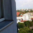 Leguan kletterte auf Hausfassade