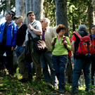 Baumbeschau am Ranzenberg.JPG