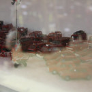 IMG_7210.JPG