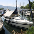 Schwanennest mit Eiern 23-05-2014 _8_.JPG