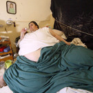 IBD1564-20140526.jpg