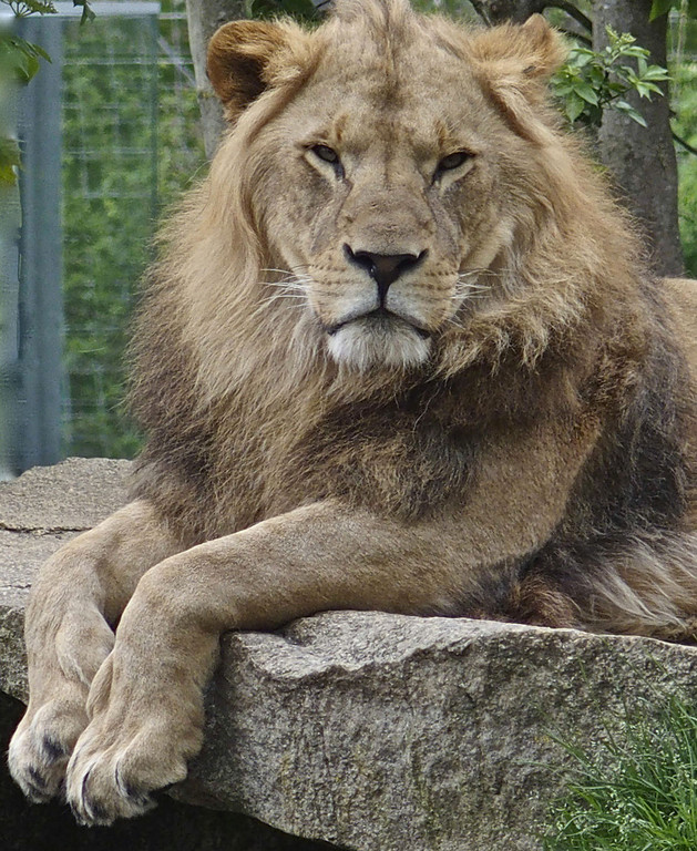 Seniorenausflug-2014_M__nchen__4290305.jpg