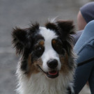 k-IMG_8706.JPG
