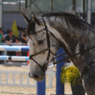 k-IMG_8749.JPG