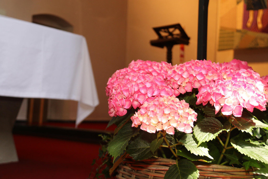 IMG_6705.JPG