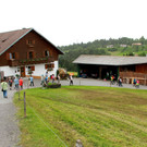 511A.JPG