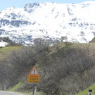 IMG_6989.JPG