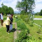 Imker10Blumenbeet.jpg