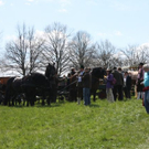 normal_180410georgieugengaaktivnews_0006.jpg
