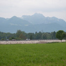 29052014a8de05016aktivnews016.jpg