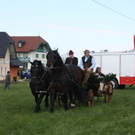 normal_180410georgieugengaaktivnews_0043.jpg