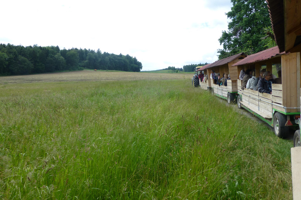 P1030615.JPG