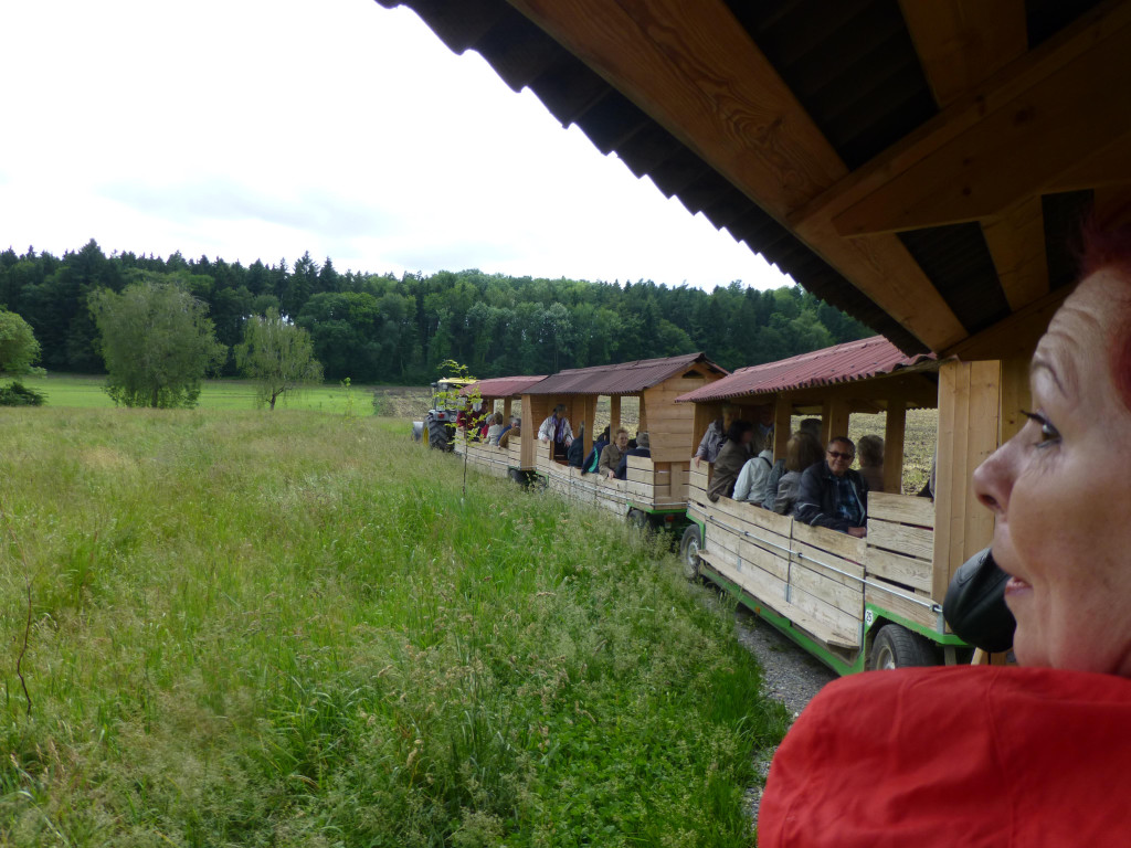P1030447.JPG