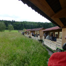P1030447.JPG