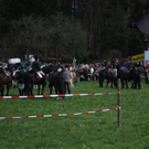 normal_180410georgieugengaaktivnews_0070.jpg