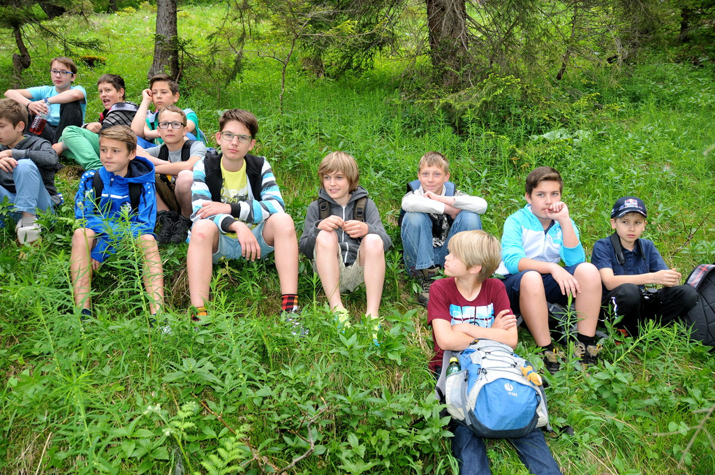 Waldtag_der_Klassen_2ab_04.jpg