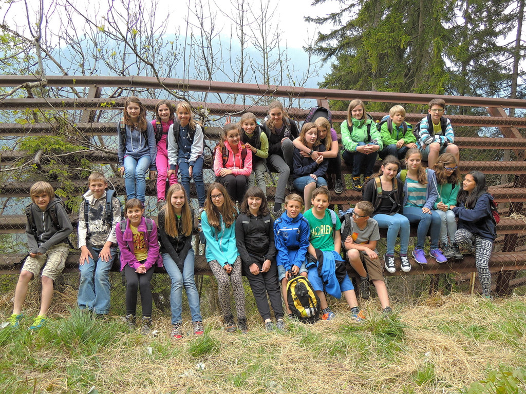 Waldtag_der_Klassen_2ab_01.jpg