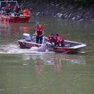 Pferderettung durch die Feuerwehr