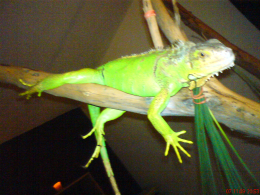 DSC00090_JPG-1271611491