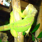 DSC00080_JPG-1271611627