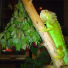 DSC00082_JPG-1271611636