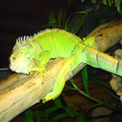 DSC00079_JPG-1271611739