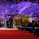 IMG_7986.JPG