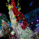 IMG_8061.JPG